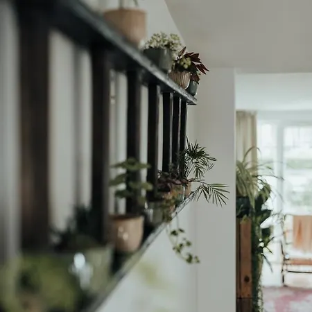Authentieke Vakantiewoning Op 200 M Het Dom wakacyjny De Panne